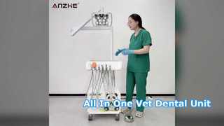 Draagbare veterinaire tandheelkundige unit met vlinder-LED-lamp Ingebouwde luchtcompressor Ultrasone scaler LE