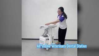 Draagbare veterinaire tandheelkundige unit met ingebouwde luchtcompressor Ultrasone scaler LED-uithardingslicht Hoog