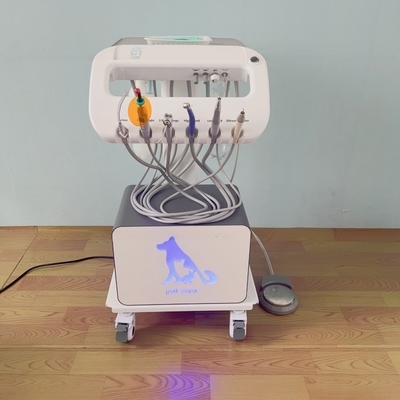 Huisdier Gebruik Draagbare Tandheelkundige Behandeling Machine Uniek Ontwerp Vet Mobile Tandheelkundige Trolley
