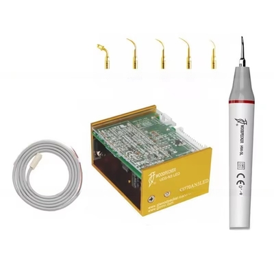 Houtpechter N3 LED Tandreinigingsapparatuur Ultrasone Tandschilder met 6 tips