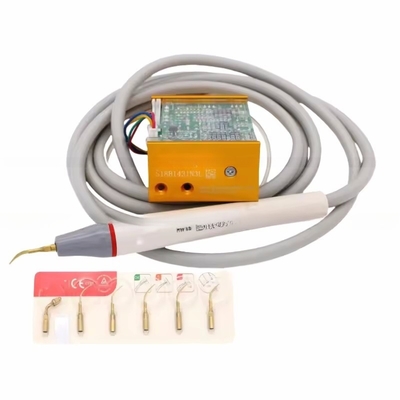 Houtpechter N3 LED Tandreinigingsapparatuur Ultrasone Tandschilder met 6 tips