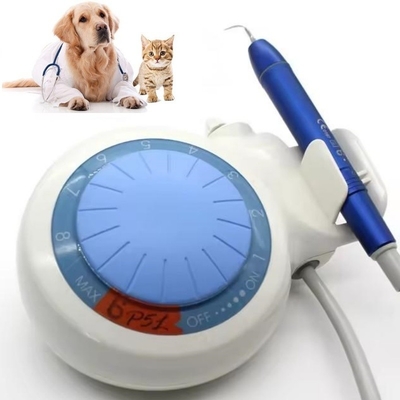 Tandheelkundige Tanden Reiniging Apparaat Ultrasone Tandheelkundige Scaler LED Huisdieren Tandheelkundige Ultrasone Scaler