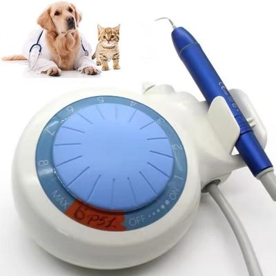Goede prijs. Tandheelkundige Tanden Reiniging Apparaat Ultrasone Tandheelkundige Scaler LED Huisdieren Tandheelkundige Ultrasone Scaler online