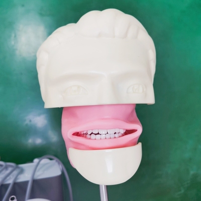 Tandheelkundige school Phantom Head Voor tandheelkundige studenten Studie Model Dental Phantom Head Unit