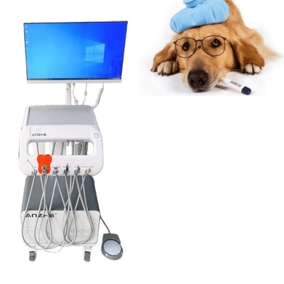Veterinaire chirurgische tandheelkundige afdeling met computer en ingebouwde luchtcompressor