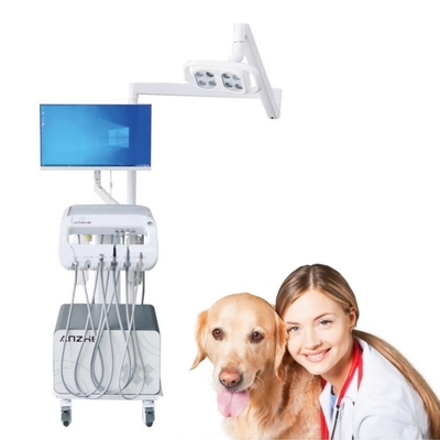 Fabriek Dieren tandheelkundige operatie trolley hond en kat dierenarts tandheelkundige mobiele karretje huisdier tanden behandeling machine