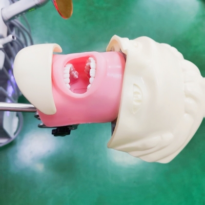 Professionele tandheelkundige studenten Simulator Training Model Medische wetenschappen Tandheelkundige Phantom Head Model