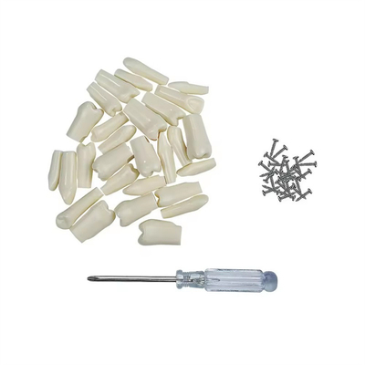32pcs / Set Tandheelkundige Typodont Vervangende Tanden Tandheelkundige Studenten Practicietools Hardheid Hars Tanden