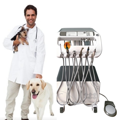 Veterinaire tandheelkundige apparatuur Huisdieren tandbehandeling machine Verplaats op Will Vet Gebruik Huisdieren tandbehandeling eenheid met compressor