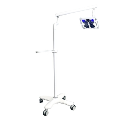 Draagbare tandheelkundige tandenbleker 12W krachtige 10 LED koud licht vloer staande beweegbare bleking eenheid lamp