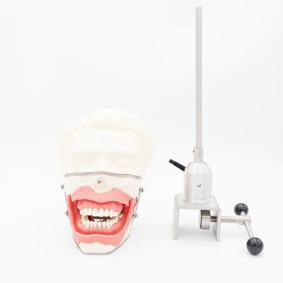 Tandheelkundig anesthesie extractie model Tandheelkundige school anesthesie injectie trainingsmodel Orale anesthesie simulator systeem
