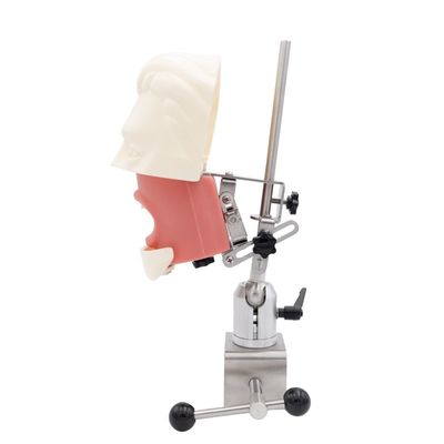 Tandheelkundige Simulator Onderwijseenheid Tandheelkundige School Simulatie Oefensysteem Tandheelkundig Implantaat Fantoomhoofd