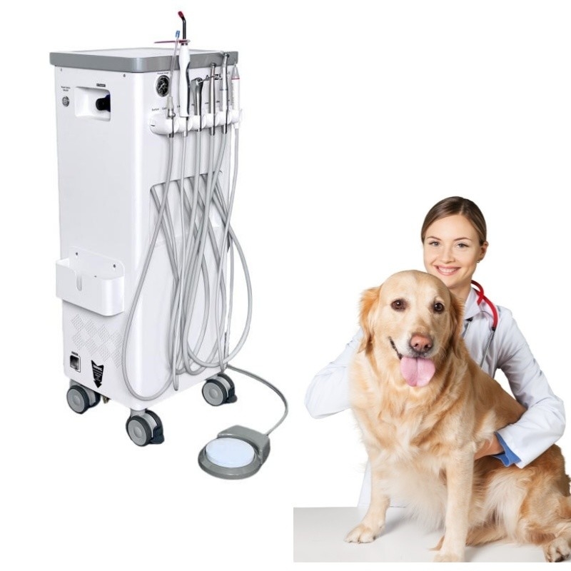 Huisdier tandbehandeling machine Beweeg op Will Vet Gebruik Huisdier tandheelkundige behandeling eenheid met compressor