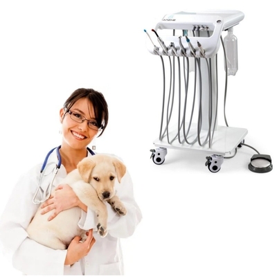 1 Jaar garantie Vet Dental Treatment Unit Uniek ontwerp Mobiele tandheelkundige therapie machine