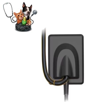 Goede prijs. Diergeneeskundig tandheelkundig apparaat Digitaal röntgenbeeldsysteem Huisdieren tanden röntgen sensor RVG online