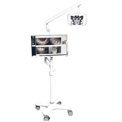 12W Tandbleker voor salons 10 Ogen 3 Kleur Zoom Tandbleker Met PC