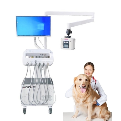 Gepersonaliseerd Accepteren Huisdier Tanden Therapie Mobiele kar Dieren Ziekenhuis Veterinair Tandheelkundig Werkstation