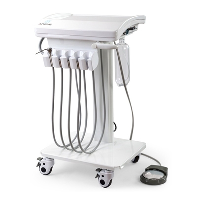 Foshan Factory Direct Vet Dental System Mini Body Mobile Dental Unit Lichtgewicht Huisdier Dental Operation Unit
