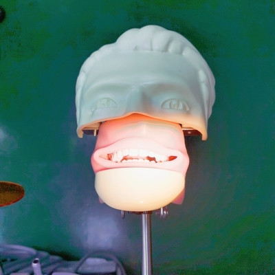 Dental Training Simulatie Hoofd Trolley Gemonteerd Dental Phantom Hoofd met tand Model voor onderwijs en voor de praktijk