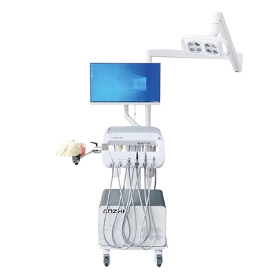 Opleidingsoplossing voor tandartsstudenten Dental School Equipment Dental Phantom Head Dental Simulator for Training