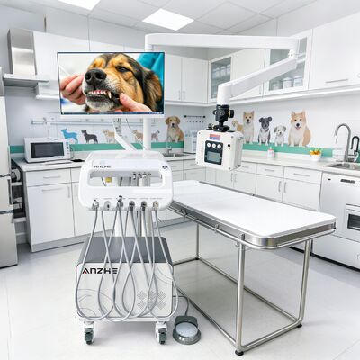 Goede prijs. Fabriek Direct Veterinair Huisdier Dental Mobile Trolley met X-Ray Unit Draagbare Vet Dental Treatment Cart OEM Dental Trolley online