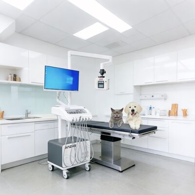 Goede prijs. Draagbare tandheelkundige therapie-eenheid met ingebouwde röntgenstraal en pc mobiele tandheelkundige kar met luchtcompressor zuigstelsel tandheelkundige afleveringseenheid voor klinisch en outreach gebruik online