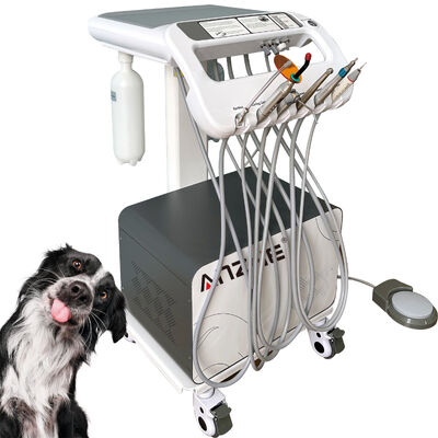 Goede prijs. Fabriek Direct Veterinair Huisdier Dental Mobile Trolley met X-Ray Unit Draagbare Vet Dental Treatment Cart OEM Dental Trolley online