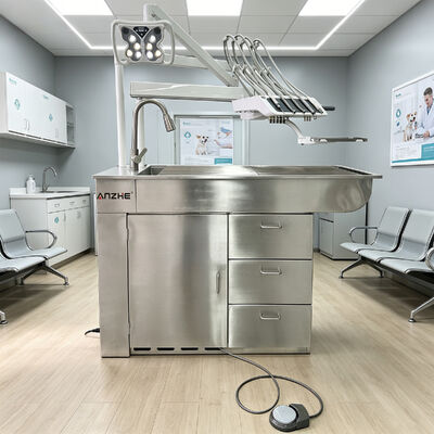 Goede prijs. Professionele Veterinaire Tandheelkundige Behandelunit met Stille 32L Air Compressor en 5-Instrumentenhouder in 304 Roestvrij Staal online