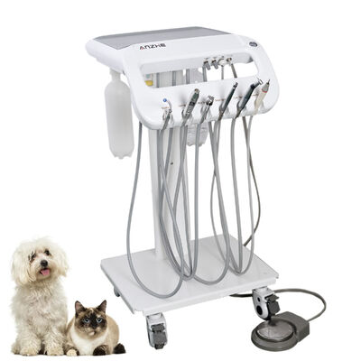 Goede prijs. Fabrieksdirecte Veterinaire Draagbare Tandheelkundige Trolley voor Hond & Kat | Mobiele Tandheelkundige Behandelwagen voor Huisdieren met Ultrasone Scaler, Zuigsysteem & LED Uithardingslamp | OEM/ODM Dierenartsen Tandheelkundige Apparatuur online