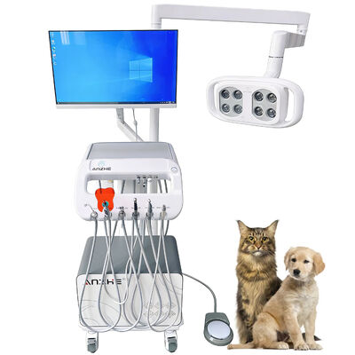 Fabrieksdirecte Veterinaire Draagbare Tandheelkundige Unit Mobiele Tandheelkundige Trolley met LED Lamp Luchtcompressor Zuigsysteem voor Dierenkliniek & Tandartspraktijk