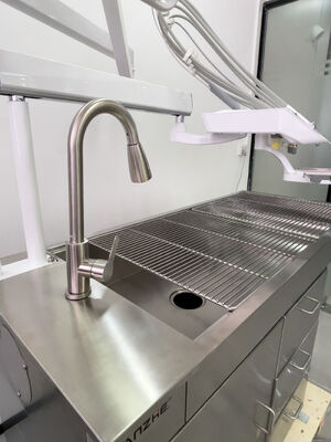 Goede prijs. Veterinaire tandheelkundige behandelingseenheid met LED-bleekvlinderlamp 32L olievrije luchtcompressor Roestvrij staal Veterinair tandheelkundig werkstation online