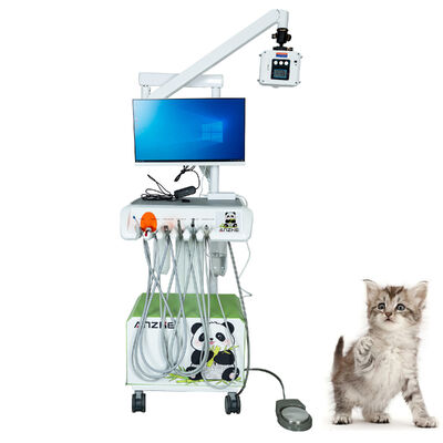 Goede prijs. Originele fabrieksveterinaire digitale intra-orale sensor Plug-and-Play Volledig uitgeruste röntgenfoto's met hoge resolutie voor dierenklinieken online