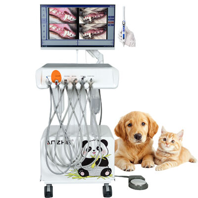 Goede prijs. Draagbare Veterinaire Tandheelkundige Unit met HD Mondcamera en Alles-in-één Computer Geïntegreerd Tandheelkundig Systeem voor Dierenklinieken online