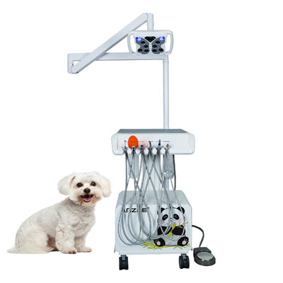 Draagbare Veterinaire Tandheelkundige Unit met Ingebouwde Butterfly LED Lamp, Luchtcompressor, Ultrasone Scaler, LED Polymerisatielamp en Zuigsysteem voor Dierentandheelklinieken