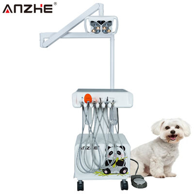 Goede prijs. Draagbare Veterinaire Tandheelkundige Unit met Ingebouwde Vlinder LED Lamp, Luchtcompressor, Ultrasone Scaler, LED Polymerisatielamp en Zuigsysteem, Mobiel Dier Tandheelkundig Werkstation online