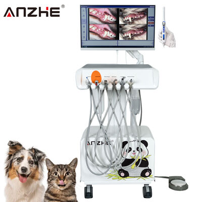 Goede prijs. Fabrieksdirecte draagbare veterinaire tandheelkundige unit met HD orale camera en 23,8 inch touchscreen alles-in-één computer ingebouwde luchtcompressor scaler uithardingslamp voor dierlijke tandheelkundige klinieken online