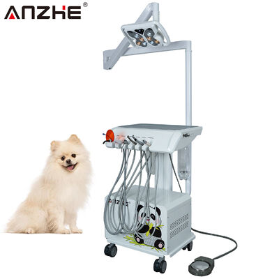 Draagbare Veterinaire Tandheelkundige Unit met Ingebouwde Butterfly LED Tandheelkundige Lamp, Luchtcompressor, Afzuiging, Scaler en Polymerisatielamp voor Dierentandheelklinieken