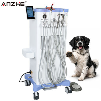 Goede prijs. Mobiele Veterinaire Tandheelkundige Unit met Ingebouwde Elektrische Motor, Compressor, Zuigsysteem, Ultrasone Scaler en LED Polymerisatielamp voor Dierentandheelklinieken online