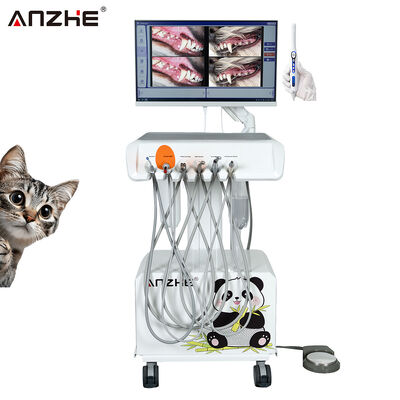 Goede prijs. Draagbare Veterinaire Tandheelkundige Unit met HD Mondcamera en Ingebouwde All-in-One Computer en Air Compressor Veterinaire Tandheelkundige Werkstation voor Dierentandheelklinieken online