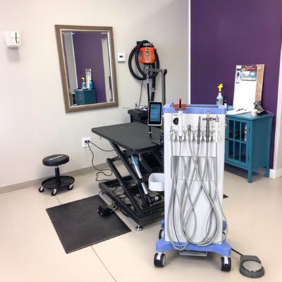 Goede prijs. 550W Draagbare Veterinaire Tandheelkundige Unit met 0.8Mpa Druk en 38DB Geluid Veterinaire Tandheelkundige Kar online
