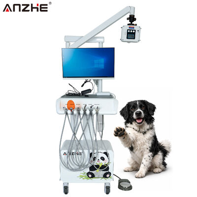 Goede prijs. Geïntegreerd Veterinair Tandheelkundig Werkstation met Digitale Röntgen Sensor, HD Mondcamera en Alles-in-één Computer online