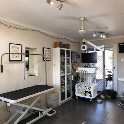 Goede prijs. 550W Veterinaire tandheelkundige werkstation met 0,8Mpa druk en 58DB geluid voor dieren tandheelkundige klinieken online