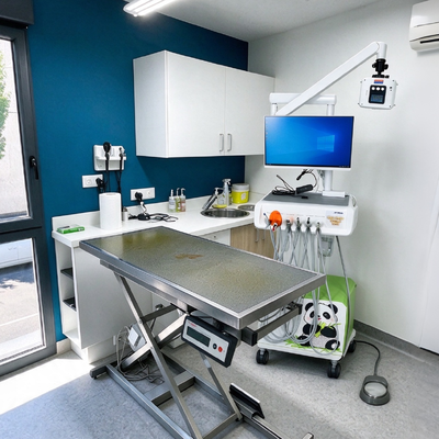 All-in-One Veterinaire Tandheelkundige Werkstation met Digitale Röntgensensor en Orale Camera voor Dierenklinieken